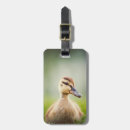 Recherche de foyer bagages étiquettes Jour