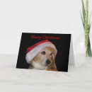 Search for santa beagle christmas cards Beagles