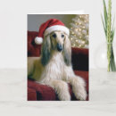 Search for afghan hound christmas cards Dog