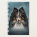 Recherche de sheltie Canine