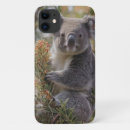 Search for cuddly phone cases Koala