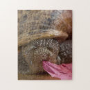 Recherche de bizarre puzzles Insectes