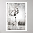 Search for leopard posters Black and white