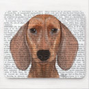 Search for plains electronics Animals