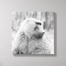 Search for baboon canvas prints Animals