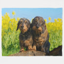 Search for weiner dog blankets Funny