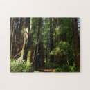 Recherche de fougère puzzles Arbres