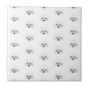 Recherche de caniches carreaux Chiot