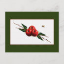 Search for teacher apple postcards Watercolor