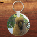 Search for australian bird keychains Wildlife