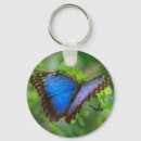 Search for blue butterflies keychains Colourful