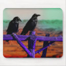 Search for raven mousepads Photography