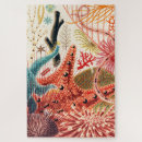 Search for barrier reef puzzles Fish