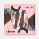 Search for quarter horses magnets Pony