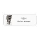 Search for wolf return address labels Snow
