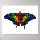Search for rainbow flag posters Gay pride flag