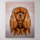 Search for cavalier king charles spaniel art Beautiful