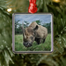 Search for rhinoceros ornaments Animal