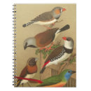 Search for avian notebooks Colourful