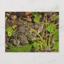 Search for edmonton alberta postcards Full length