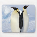 Search for emperor mousepads Wildlife