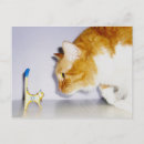 Search for just for laughs postcards Animal