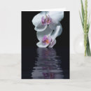 Search for purity cards Water