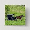 Search for buggy buttons Horse