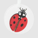 Search for lady bug ornaments Beetle