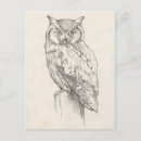 Recherche de owl cartes postales Woodland