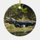 Recherche de arbre de noël dor Toute personne