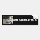 Recherche de feline voiture autocollants Félin