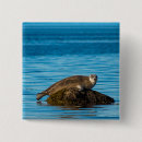 Recherche de phoque badges Aquatique