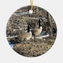 Search for geese ornaments Wildlife