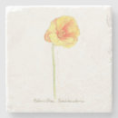 Search for botanical illustration barware Flower