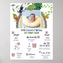 Recherche de cameleon posters Jungle