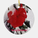 Search for thinking ornaments Winter