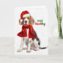 Search for beagle christmas cards Pets