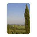 Recherche de campagne magnets Cyprès