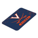 Recherche de cavaliers magnets Cavs