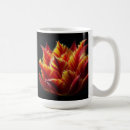 Search for red tulips mugs Nature