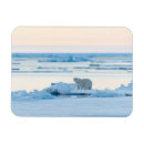 Recherche de norway magnete Ice