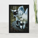 Search for old goat birthday cards Photography