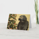 Search for african grey parrot christmas cards Xmas