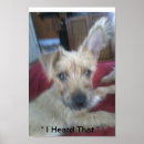 Search for puppy posters Puppies