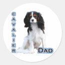 Search for cavalier stickers Cavie