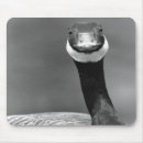 Search for curious mousepads Black