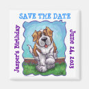 Search for st bernard magnets Pets