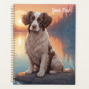 Search for springer spaniel Pets