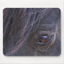 Search for mustangs mousepads Animals